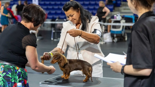 Fot. Robert Stachnik [Radio Szczecin] Netto Arena wyjątkowo rozszczekana [WIDEO, ZDJĘCIA]