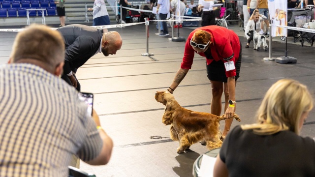 Fot. Robert Stachnik [Radio Szczecin] Netto Arena wyjątkowo rozszczekana [WIDEO, ZDJĘCIA]