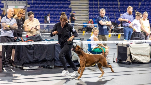 Fot. Robert Stachnik [Radio Szczecin] Netto Arena wyjątkowo rozszczekana [WIDEO, ZDJĘCIA]