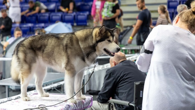 Fot. Robert Stachnik [Radio Szczecin] Netto Arena wyjątkowo rozszczekana [WIDEO, ZDJĘCIA]