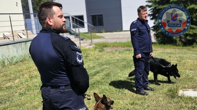 Fot. Komenda Miejska Policji w Szczecinie Policyjny pies wytropił zaginionego nastolatka [ZDJĘCIA]