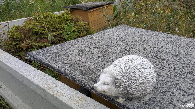 Fot. Maciej Papke [Radio Szczecin] Jeżykowo niedługo się powiększy, ale jest też pewien apel [WIDEO, ZDJĘCIA]