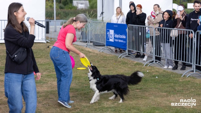 Fot. Robert Stachnik [Radio Szczecin] Wszystko dla psów na rozszczekanych targach na Łasztowni [ZDJĘCIA]