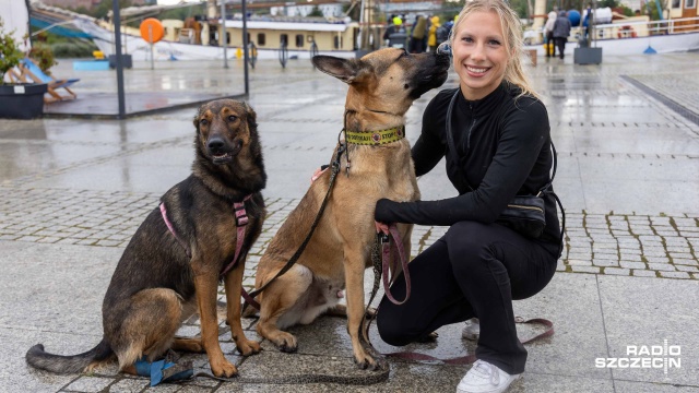 Fot. Robert Stachnik [Radio Szczecin] Wszystko dla psów na rozszczekanych targach na Łasztowni [ZDJĘCIA]