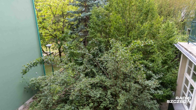 Fot. Robert Stachnik [Radio Szczecin] Pałac ślubów - ogród przy szczecińskim magistracie będzie odrestaurowany [ZDJĘCIA]