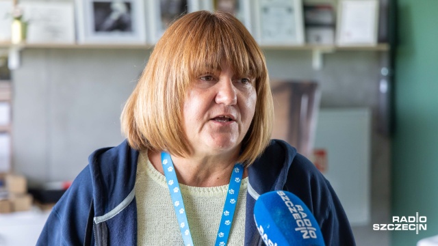 Ewa Mrugowska. Fot. Robert Stachnik [Radio Szczecin] Ranny american bully w schronisku. Jego właściciel z zarzutem znęcania się [WIDEO, ZDJĘCIA]