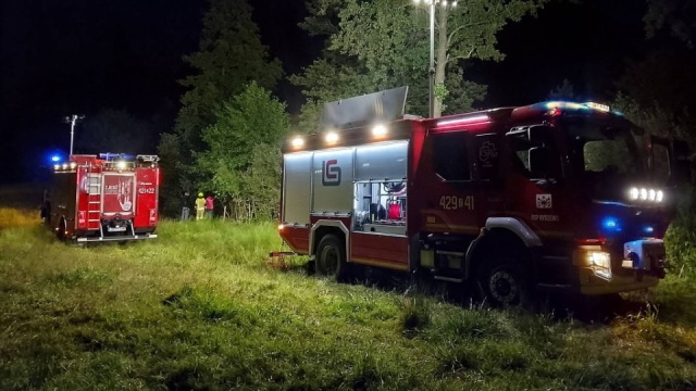 Fot. FB/Komenda Powiatowa Państwowej Straży Pożarnej w Drawsku Pomorskim Krowy ugrzęzły w bagnie [ZDJĘCIA]