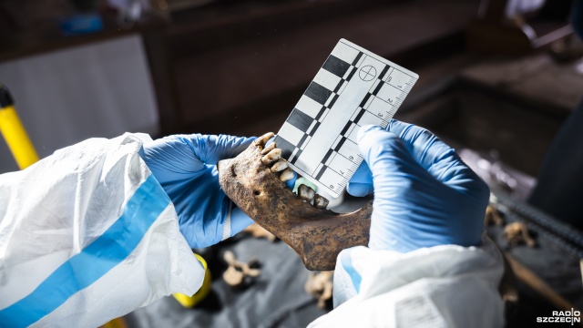 Fot. Kamila Kozioł [Radio Szczecin] Badania archeologiczne w zabytkowym kościele [WIDEO, ZDJĘCIA]