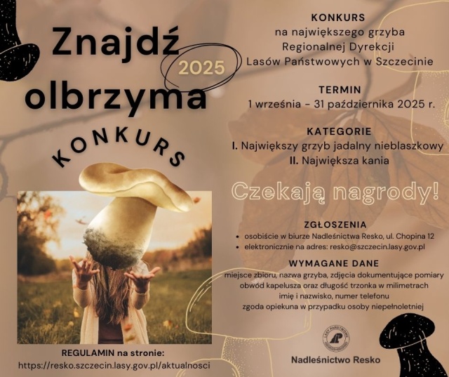 Fot. facebook.com/NadleśnictwoResko Konkurs dla grzybiarzy. "Znajdź olbrzyma"