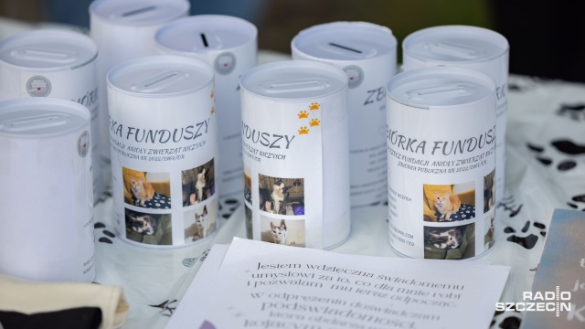 Fot. Robert Stachnik [Radio Szczecin] Koci Hałas na Łące Kany [ZDJĘCIA]