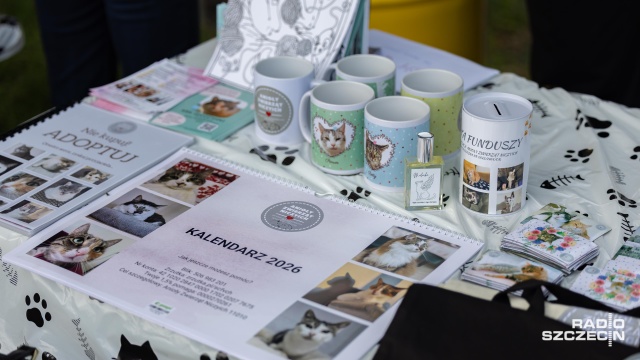 Fot. Robert Stachnik [Radio Szczecin] Koci Hałas na Łące Kany [ZDJĘCIA]