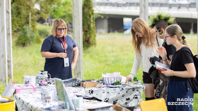 Fot. Robert Stachnik [Radio Szczecin] Koci Hałas na Łące Kany [ZDJĘCIA]
