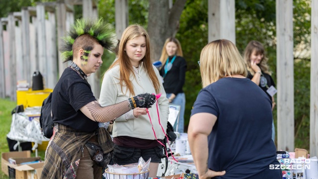 Fot. Robert Stachnik [Radio Szczecin] Koci Hałas na Łące Kany [ZDJĘCIA]