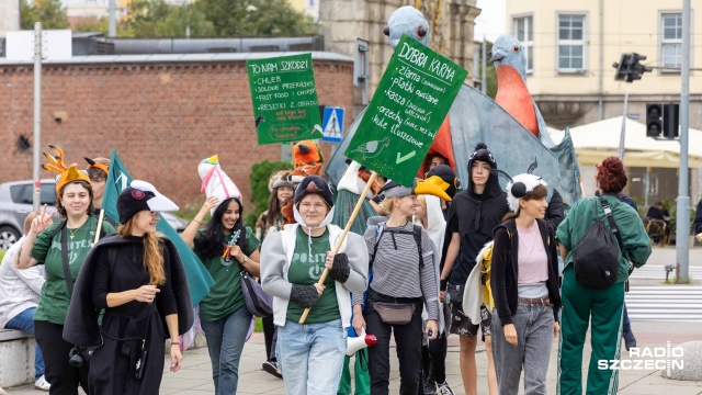 Fot. Robert Stachnik [Radio Szczecin] Korowód kolorowych ptaków przeszedł ulicami Szczecina [ZDJĘCIA]