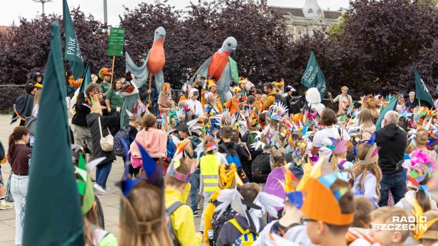 Fot. Robert Stachnik [Radio Szczecin] Korowód kolorowych ptaków przeszedł ulicami Szczecina [ZDJĘCIA]