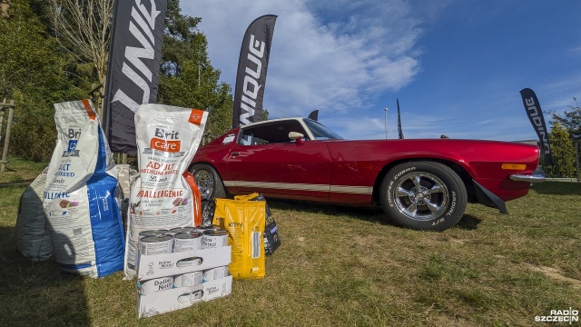 Fot. Maciej Papke [Radio Szczecin] "Dzień Psiaka i Kociaka" - festyn na rzecz bezdomnych zwierzaków w Dobrej [WIDEO, ZDJECIA]