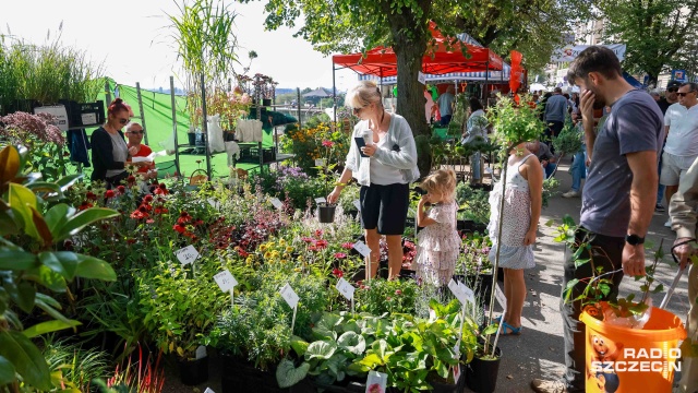Fot. Robert Stachnik [Radio Szczecin] Jesień za rogiem, ale szczecinianie pamiętają o swoich ogrodach [WIDEO, ZDJĘCIA]