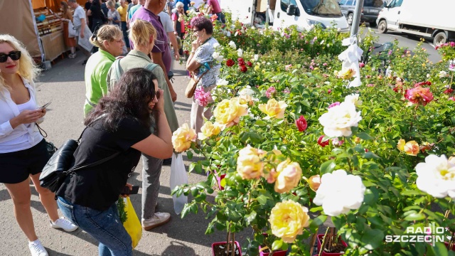 Fot. Robert Stachnik [Radio Szczecin] Jesień za rogiem, ale szczecinianie pamiętają o swoich ogrodach [WIDEO, ZDJĘCIA]