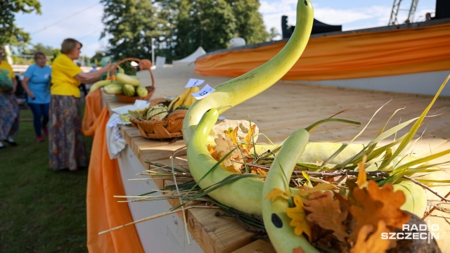 Fot. Robert Stachnik [Radio Szczecin] Święto dyni nad Miedwiem [WIDEO, ZDJĘCIA]