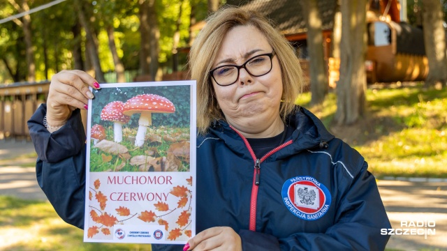 Emilia Deptalska. Fot. Robert Stachnik [Radio Szczecin] Zebrany czy kupiony, grzyby warto sprawdzić u ekspertów [ZDJĘCIA]