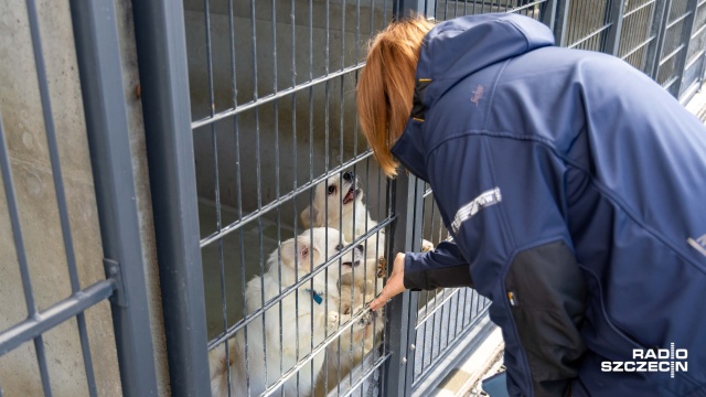 Fot. Robert Stachnik [Radio Szczecin] Bolończyki "po przejściach" w areszcie. Pat prawny [ZDJĘCIA]