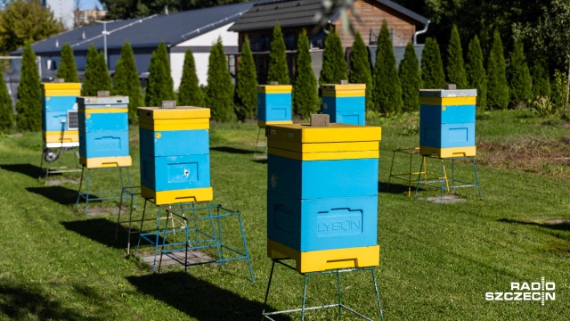 Fot. Robert Stachnik [Radio Szczecin] Zwierzętarnia ZUT zaprasza: owce, ptaki, pszczoły... I nie tylko [ZDJĘCIA]