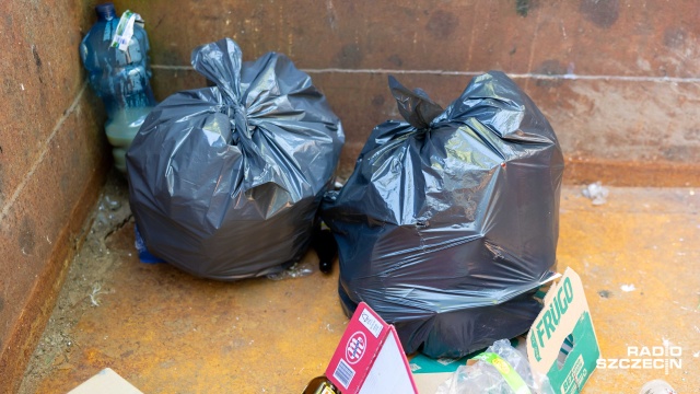 Fot. Robert Stachnik [Radio Szczecin] Piknik i sprzątanie Puszczy Bukowej. Nurkowie w Szmaragdowym [WIDEO, ZDJĘCIA]