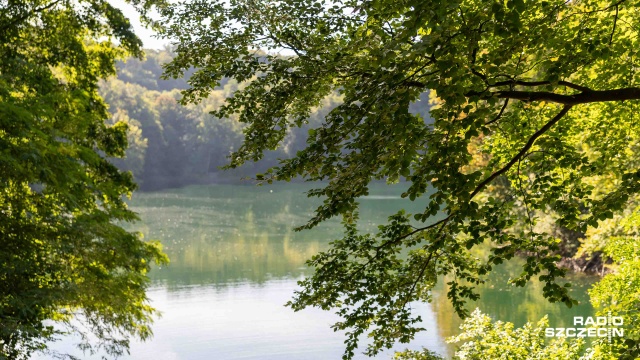 Fot. Robert Stachnik [Radio Szczecin] Piknik i sprzątanie Puszczy Bukowej. Nurkowie w Szmaragdowym [WIDEO, ZDJĘCIA]
