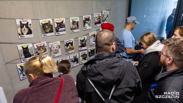 Fot. Robert Stachnik [Radio Szczecin] Drzwi otwarte w szczecińskim schronisku [WIDEO, ZDJĘCIA]