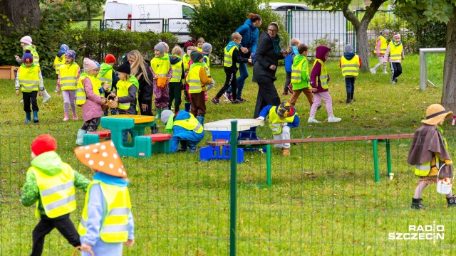 Fot. Robert Stachnik [Radio Szczecin] Przedszkolaki ruszyły szukać grzybów i uczyć się je rozróżniać [WIDEO, ZDJĘCIA]