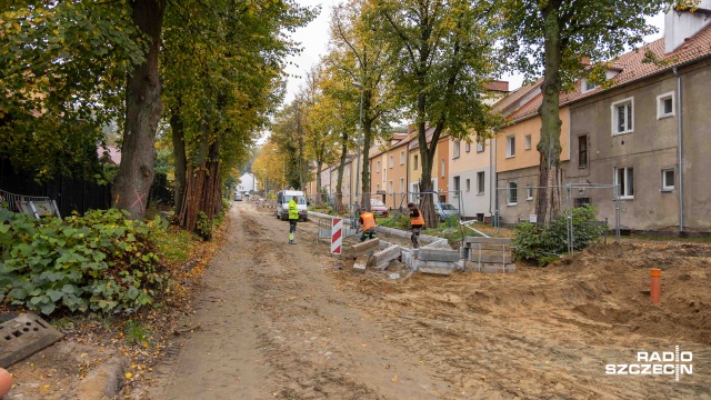 Fot. Robert Stachnik [Radio Szczecin] Kilkanaście drzew przeznaczonych do wycinki uniknie topora [WIDEO, ZDJĘCIA]