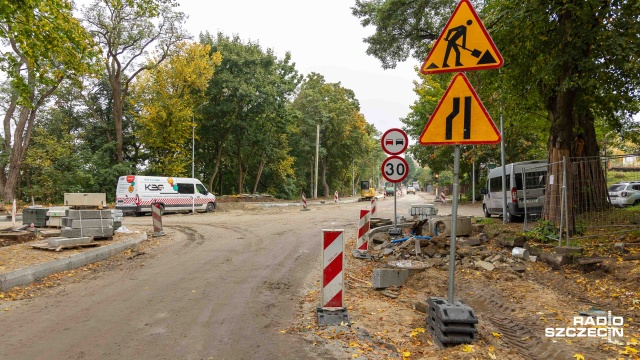 Fot. Robert Stachnik [Radio Szczecin] Kilkanaście drzew przeznaczonych do wycinki uniknie topora [WIDEO, ZDJĘCIA]