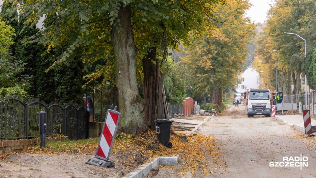 Fot. Robert Stachnik [Radio Szczecin] Kilkanaście drzew przeznaczonych do wycinki uniknie topora [WIDEO, ZDJĘCIA]