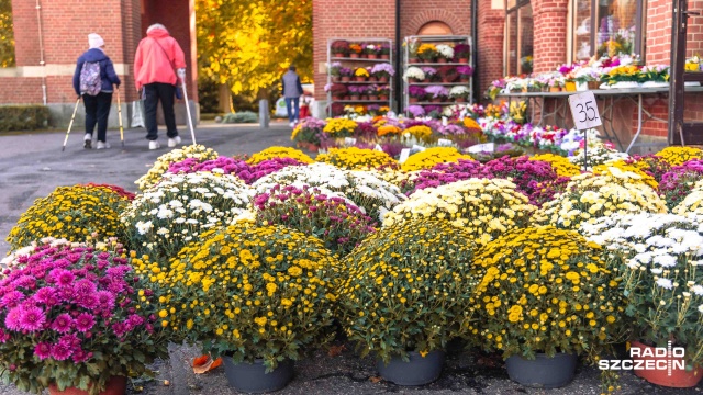 Fot. Robert Stachnik [Radio Szczecin] Szczecinianie rozpoczęli przygotowania do Dnia Wszystkich Świętych [WIDEO, ZDJĘCIA]