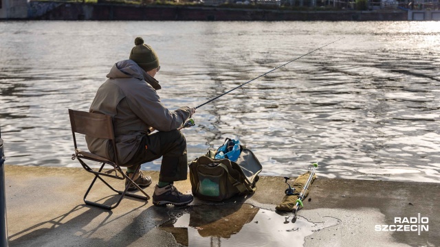 Fot. Robert Stachnik [Radio Szczecin] Sandacz żeruje, bulwary jak wielki pomost wędkarski [ZDJĘCIA]