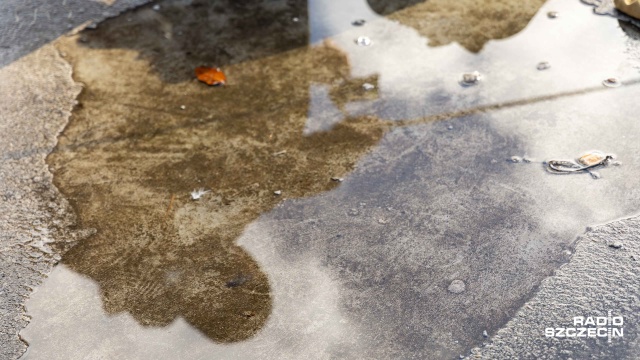 Fot. Robert Stachnik [Radio Szczecin] Sandacz żeruje, bulwary jak wielki pomost wędkarski [ZDJĘCIA]