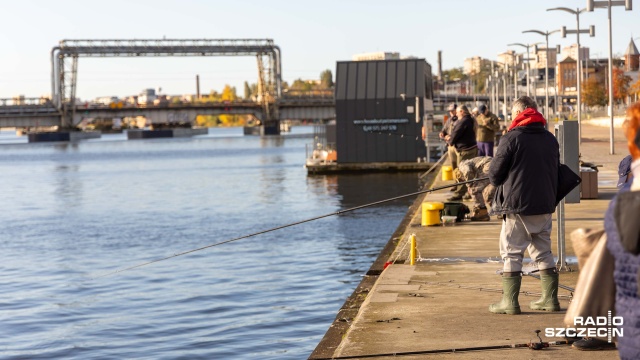 Fot. Robert Stachnik [Radio Szczecin] Sandacz żeruje, bulwary jak wielki pomost wędkarski [ZDJĘCIA]