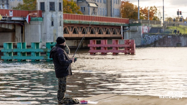 Fot. Robert Stachnik [Radio Szczecin] Sandacz żeruje, bulwary jak wielki pomost wędkarski [ZDJĘCIA]
