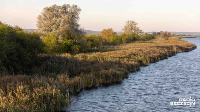 Przez Gryfino przepływa Odra Wschodnia. Fot. Robert Stachnik [Radio Szczecin] Mieszkańcy Gryfina nie chcą Parku Narodowego Doliny Dolnej Odry [ZDJĘCIA]