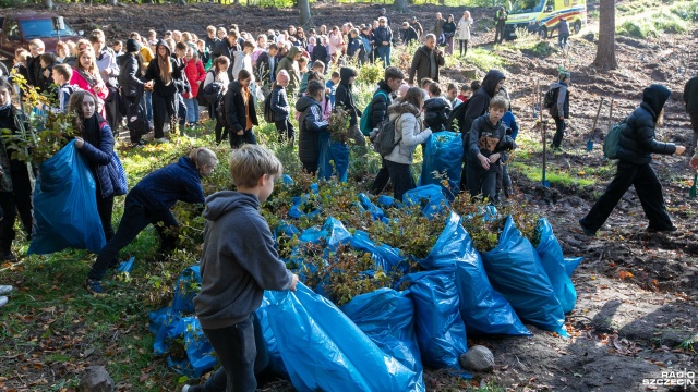 Fot. Weronika Łyczywek [Radio Szczecin] Dzieci posadziły w lesie 1500 buków [WIDEO, ZDJĘCIA]