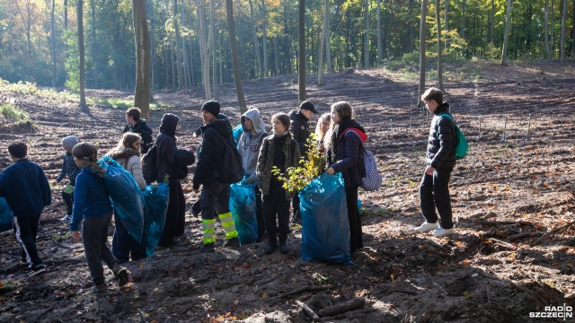 Fot. Weronika Łyczywek [Radio Szczecin] Dzieci posadziły w lesie 1500 buków [WIDEO, ZDJĘCIA]