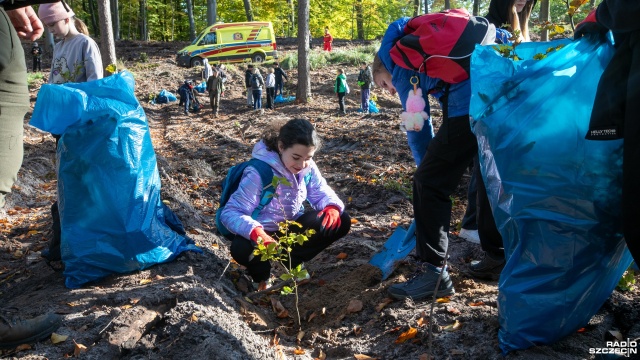 Fot. Weronika Łyczywek [Radio Szczecin] Dzieci posadziły w lesie 1500 buków [WIDEO, ZDJĘCIA]