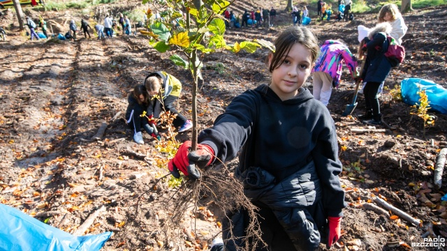 Fot. Weronika Łyczywek [Radio Szczecin] Dzieci posadziły w lesie 1500 buków [WIDEO, ZDJĘCIA]