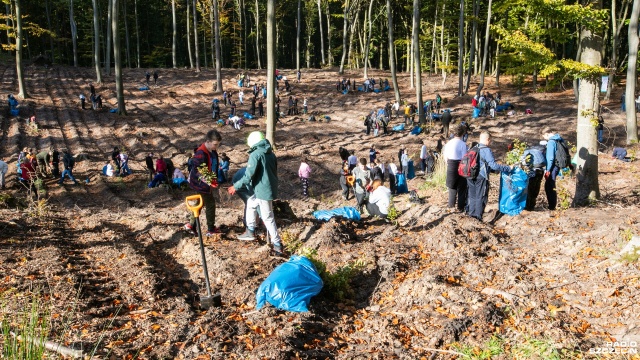 Fot. Weronika Łyczywek [Radio Szczecin] Dzieci posadziły w lesie 1500 buków [WIDEO, ZDJĘCIA]
