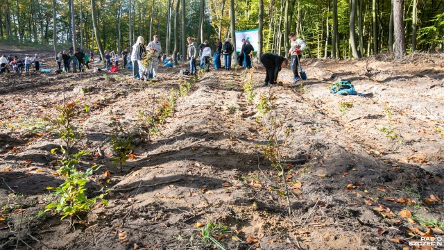Fot. Weronika Łyczywek [Radio Szczecin] Dzieci posadziły w lesie 1500 buków [WIDEO, ZDJĘCIA]