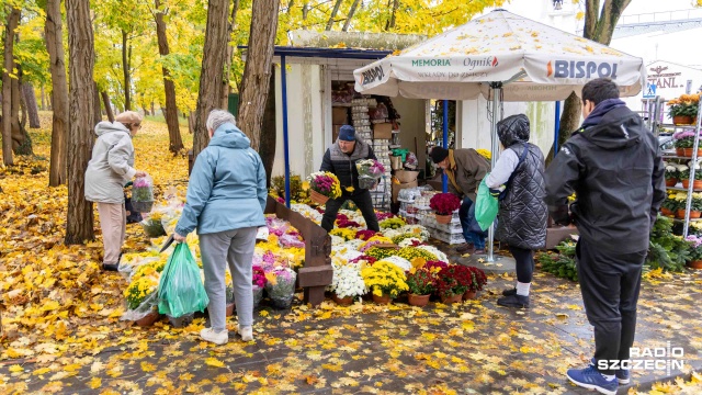 Fot. Robert Stachnik [Radio Szczecin] Akcja "Stroisz". Przeciwdziałanie nielegalnej wycince w lasach i parkach [WIDEO, ZDJĘCIA]