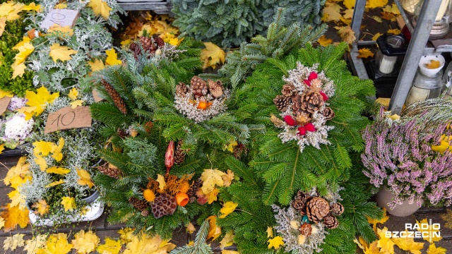 Fot. Robert Stachnik [Radio Szczecin] Akcja "Stroisz". Przeciwdziałanie nielegalnej wycince w lasach i parkach [WIDEO, ZDJĘCIA]