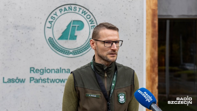 Fot. Robert Stachnik [Radio Szczecin] Akcja "Stroisz". Przeciwdziałanie nielegalnej wycince w lasach i parkach [WIDEO, ZDJĘCIA]