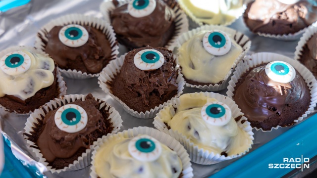 Fot. Robert Stachnik [Radio Szczecin] Czarny kot nie taki pechowy... Szczecińskie schronisko zachęca do adopcji [WIDEO, ZDJĘCIA]