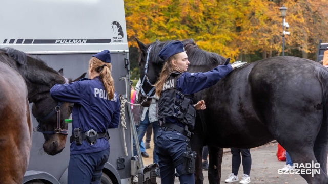 Fot. Robert Stachnik [Radio Szczecin] Policjanci na koniach patrolują Cmentarz Centralny [WIDEO, ZDJĘCIA]